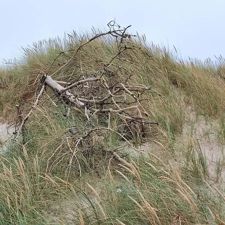 8 Person In Harboore-by Traum Harboør